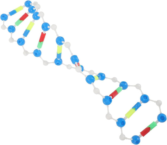 HOOTNEE 2pcs DNA Model Kit Double Helix Learning Tool for Science Education Student's Teaching Aid
