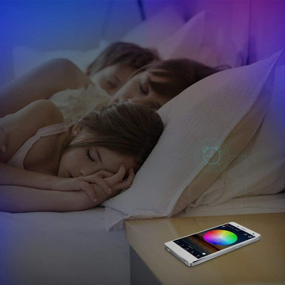 Miheal WiFi Wireless Smart LED Controller with 24 Keys Remote for RGB LED Strip Lights, Compatible with Alexa Google Home IFTTT, Support Android iOS System