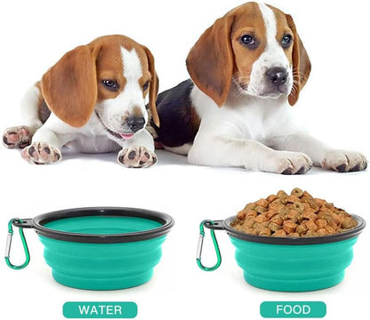 Folklyzo Collapsible Dog Bowl, Portable Pet Feeding Watering Dish, Light Green