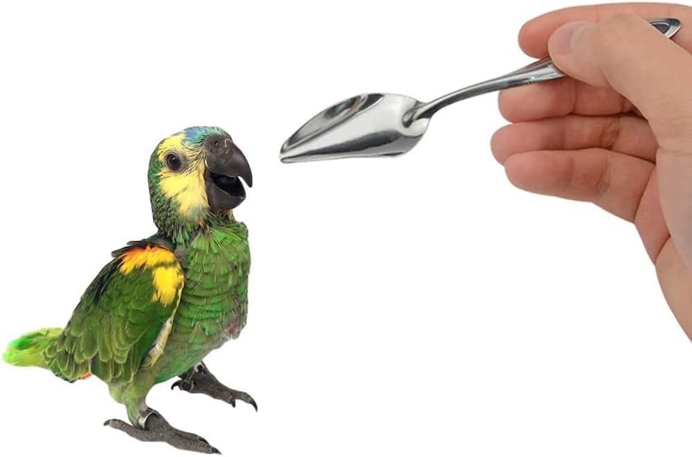 3pcs Stainless Steel Bird Feeder Scoop Birds Parrot Feeding Spoon Hand Food Feeding Tableware Birds Feeding and Watering Supplies