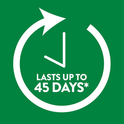 Air Wick Scented Oil Air Freshener Warmer, 6 Count, Plastic, Aroma Diffuser, Medium Room