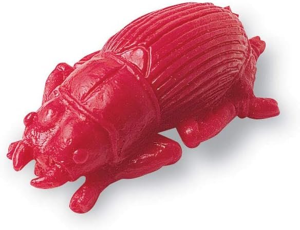 Learning Resources LER0457 Backyard Bugs Counters, Educational Counting and Sorting Toy, Set of 72