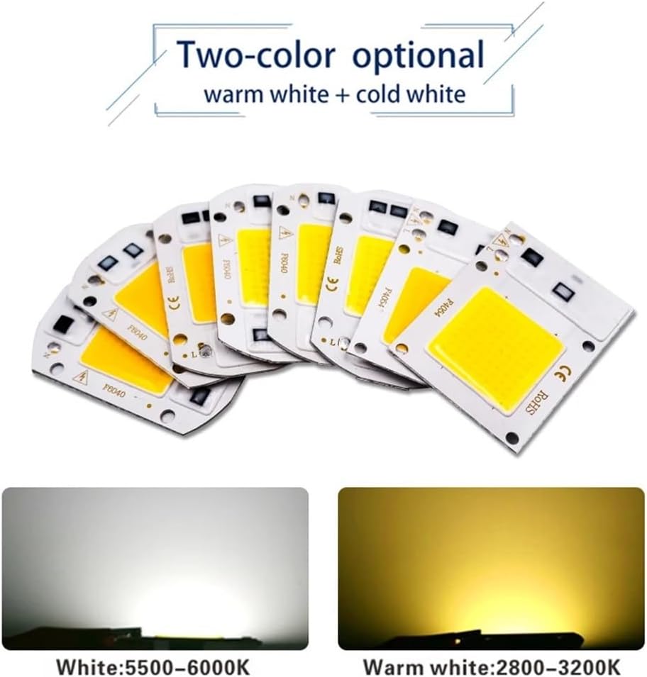 RZL Lighting Pack of 10 COB LED Chip Lamp AC220V 10W/20W/30W/50W Smart IC No Driver Need Chip Lamp for Outdoor with DIY Flood Light(Cold White,10W)