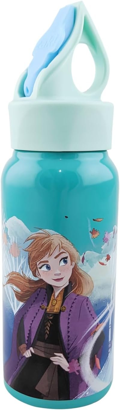 Frozen 2 473mL Stainless Steel Bottle