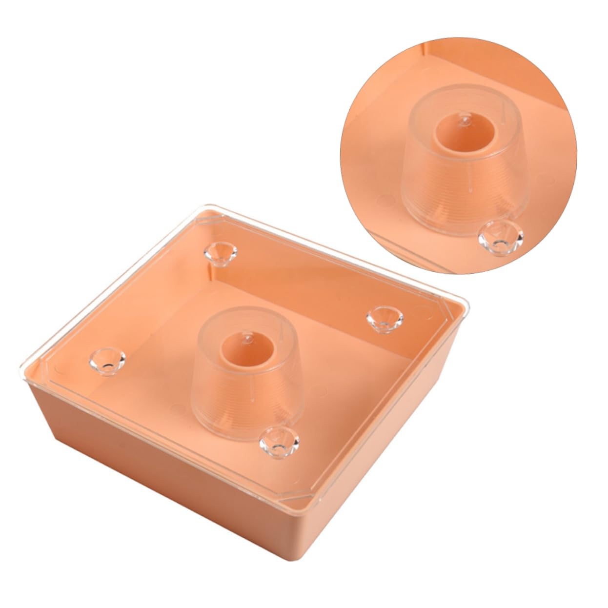 TOYANDONA Distributore per Api Alimentarper Alveari Accessorio Pratico per Apicoltura Facile da Installare e Resistente