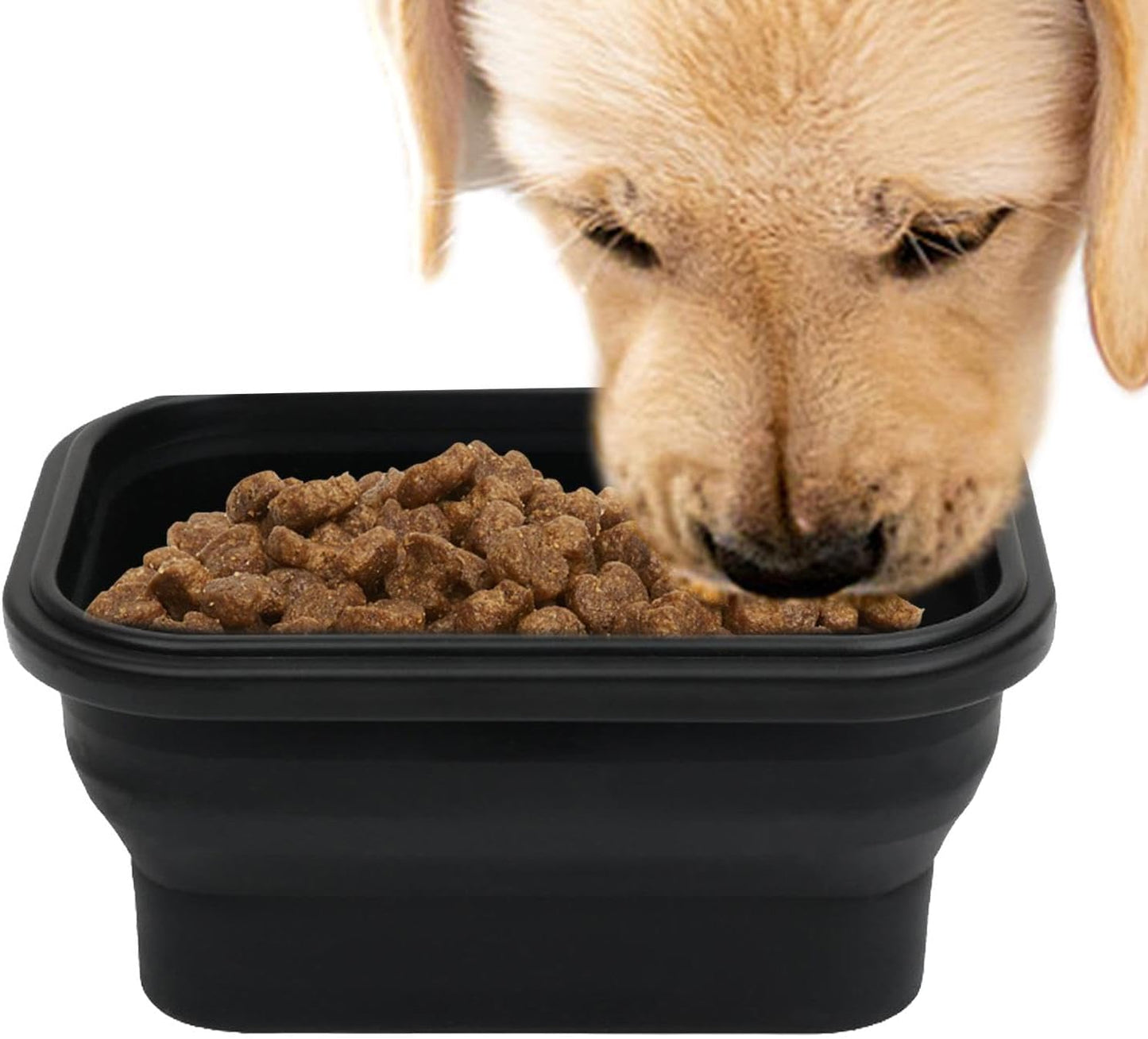 Erconsso Ciotola portatile per cani, igienico e compatto, ciotola per mangiare il cane da viaggio, ciotola per l'irrigazione per esterni, viaggi, passeggiate, escursioni