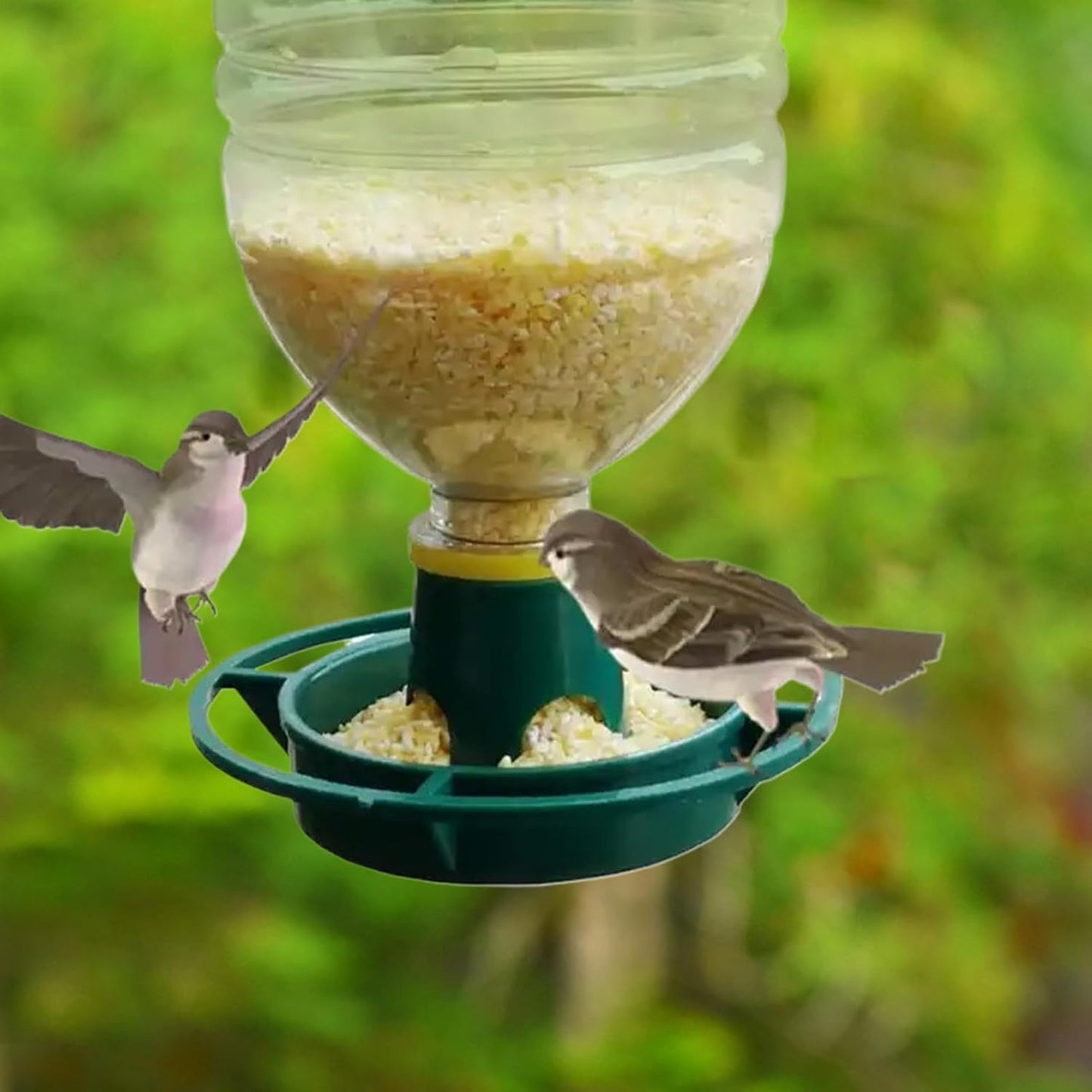 Outdoor Bird Feeder | Parrot Watering Bowl | Parrot Watering Container for Lawn Patio Backyard, Hangable Parakeet Feeding Bowl