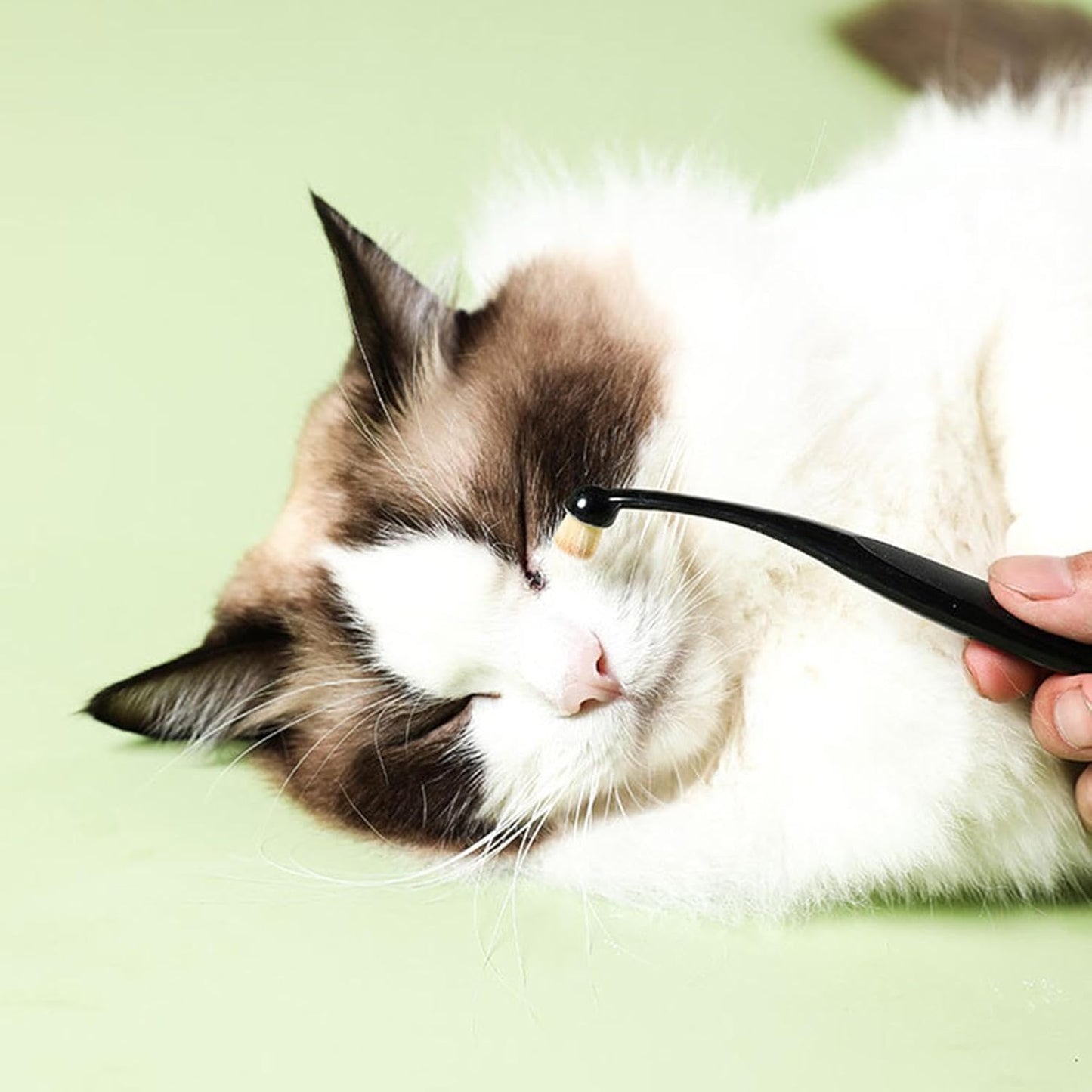 Tear Stain Brush, Dog Tear Stain Remover, Comfortable Pet Eye Clean Brush, Pets Grooming Comb, Fiber Cat Tear Stain Brush, Tear Mark Cleaning Comb, Easy Eye Hygiene Brush For Pets Dogs Cats