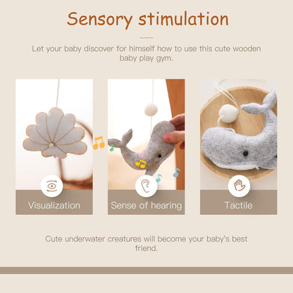 Promise Babe Baby Play Gym Wooden Infant Activity Gym with 5 Detachable Toys, Stage-Based Developmental Activity Gym Baby to Toddler, Newborn Boys and Girls