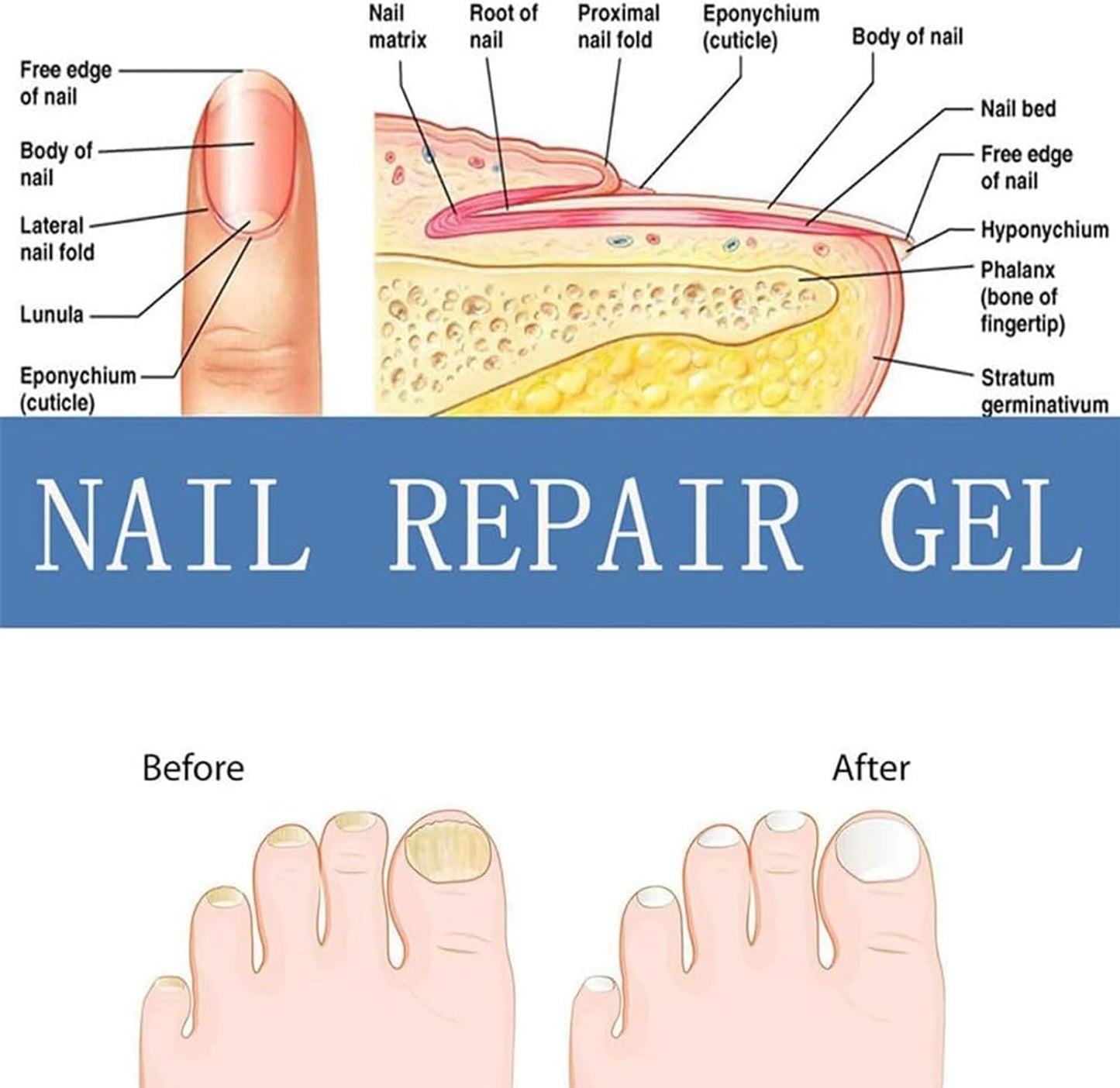 Nail Strengthener Gel Deep Nutriishing Toenail Trattamenti, 30 ml Moisturizing Nail Care, Idratazione Formula, Quick Absorption for Women, Seniors, Men, Post-Workout, Travel, Home