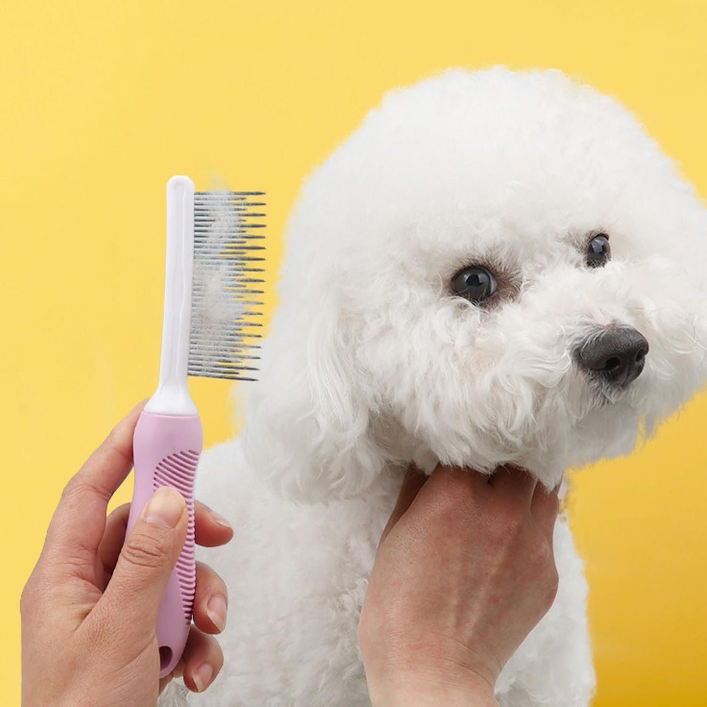 Lqucwepp 2PCS Pet Combs,Pet Hair Comb,Long & Short Stainless Steel Teeth for Dogs & Cats Home Grooming Kit, Removes Knots, Mats and Tangles Title