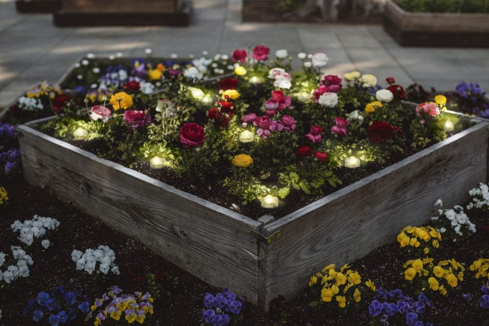 LEDVANCE Smart LED Garden Light with WiFi Technology, Basic Package with 9 LED Points for Outdoor, Changeable RGB Colors, Compatible with Google and Alexa, SMART+ WIFI GARDEN DOT 9P