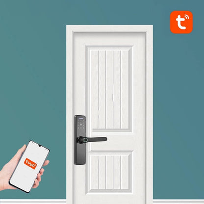 Smart Wifi Electronic Lock, Waterproof Touch Screen Smart Lock, Fingerprint/Password/WIFI/IC Card with Mechanical Key
