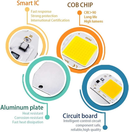 RZL Lighting Pack of 10 COB LED Chip Lamp AC220V 10W/20W/30W/50W Smart IC No Driver Need Chip Lamp for Outdoor with DIY Flood Light(Cold White,10W)