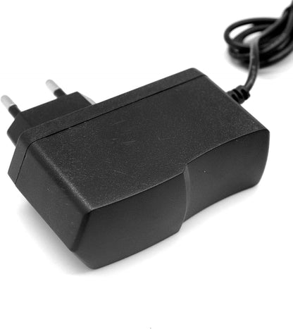 RUIZHI Universal 9 V 1 A Power Supply Converter Adapter for Electronic Scales, LED Light Belt, Mobile DVD