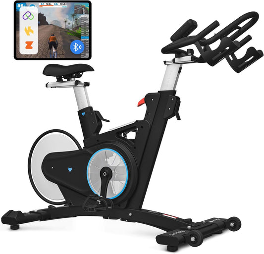 Lifespan Fitness SM900 Commercial Magnetic Spin Bike