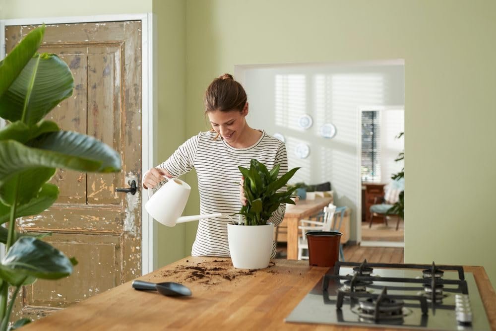 Elho Self-watering system 21 - Interior accessories and accessories - Ø 20.7 x H 19.5 - Living Schwarz