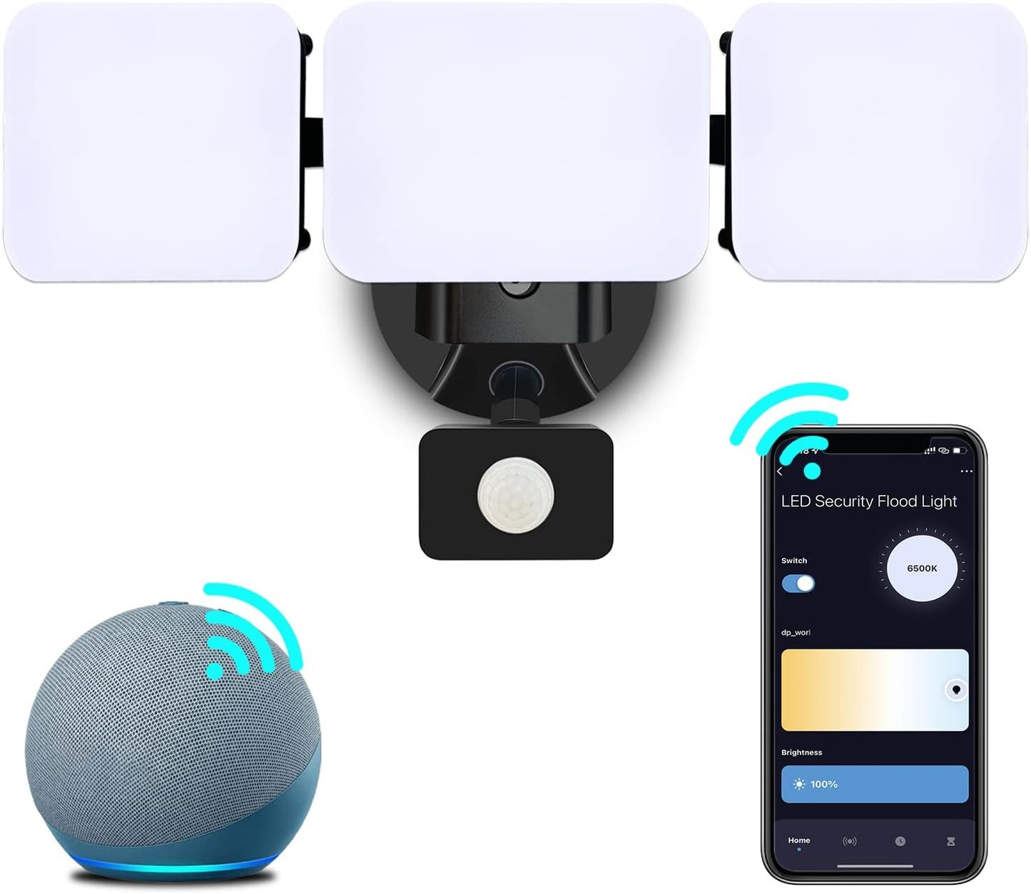 EMANER Smart Security Light Motion Sensor, Compatible with Alexa/Google Home, Warm White to Daylight White Brightness Adjust, App Controlled WiFi Flood Light (Black, 1-Pack)