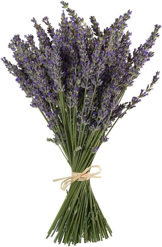 TooGet Natural Lavender Bundles, Freshly Harvested 200+ Stems Dried Lavender Bunch 16" - 18" Long, Decorative Flowers Bouquet for Home Decor, Crafts, Gift, Wedding or Any Occasion