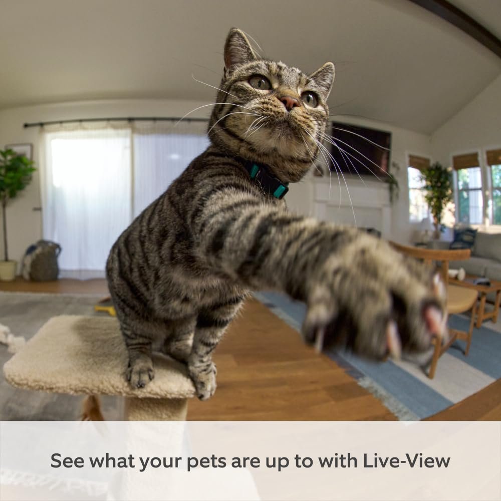 Introducing Ring Pan-Tilt Indoor Camera by Amazon | Plug-In Pet Security Camera | 360Â° pan & 169Â° tilt coverage, Manual Privacy Cover, HD video, Two-Way Talk, Wifi | 30-day free trial of Ring Home