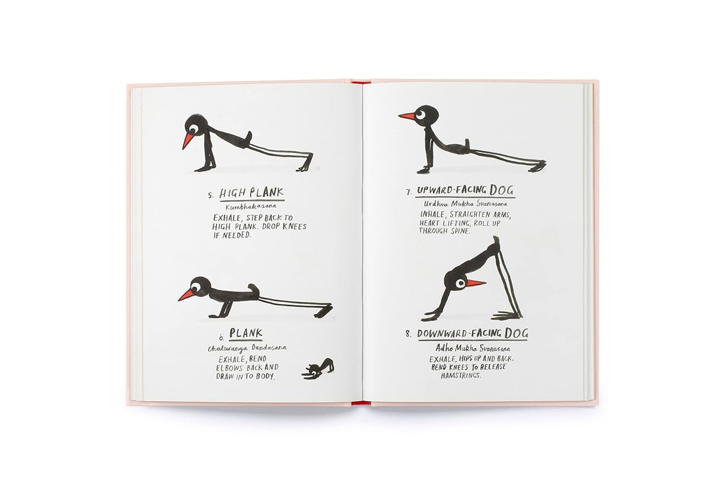 Yoga for Stiff Birds: An Illustrated Approach to Positions, Poses, and Meditations