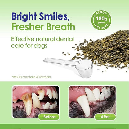 NuLife Natural Pet Health Dog Teeth Cleaning Powder, Dog Plaque and Tartar Remover, Bad Breath Treatment for Dogs with USDA Organic Sea Kelp Powder, Dog Dental Care Made Easy, for All Ages, 12 oz