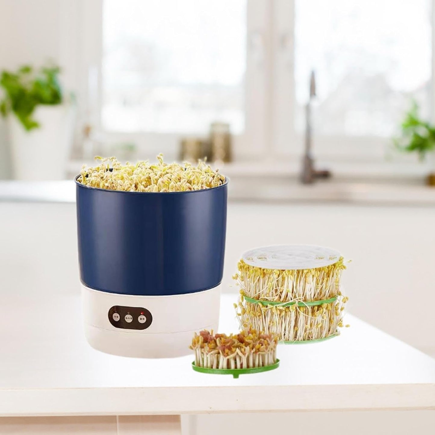 Ronyme Kit di Germinazione per Fagioli con Spruzzatore a 360 Gradi modalità, 1 Set di Piastre di Arachidi