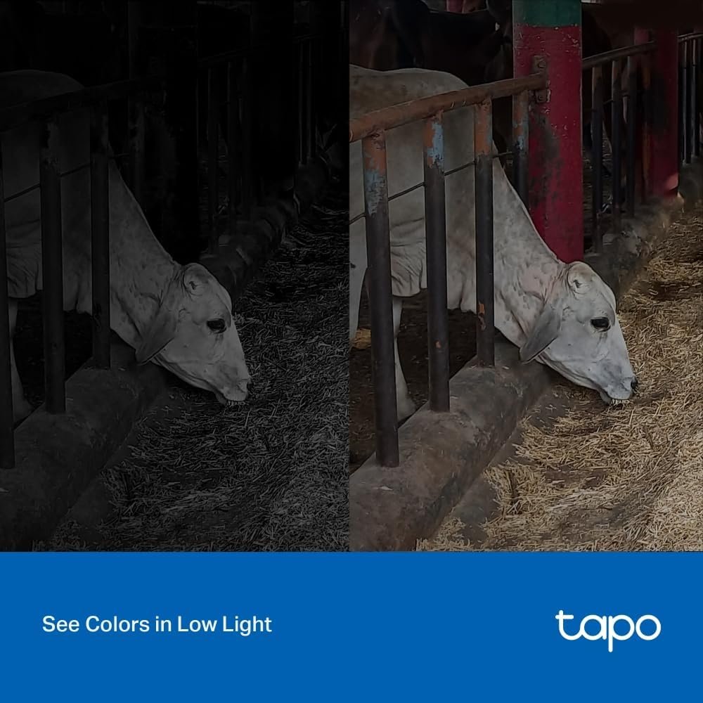 TP-Link Tapo Outdoor Security Camera, Wi-Fi/Ethernet Connection, 2K QHD, 4MP, Color Night Vision, IP66, Smart Motion Detection & Notifications, Vioce Control, Two-Way Audio, SD Card Slot (Tapo C320WS)