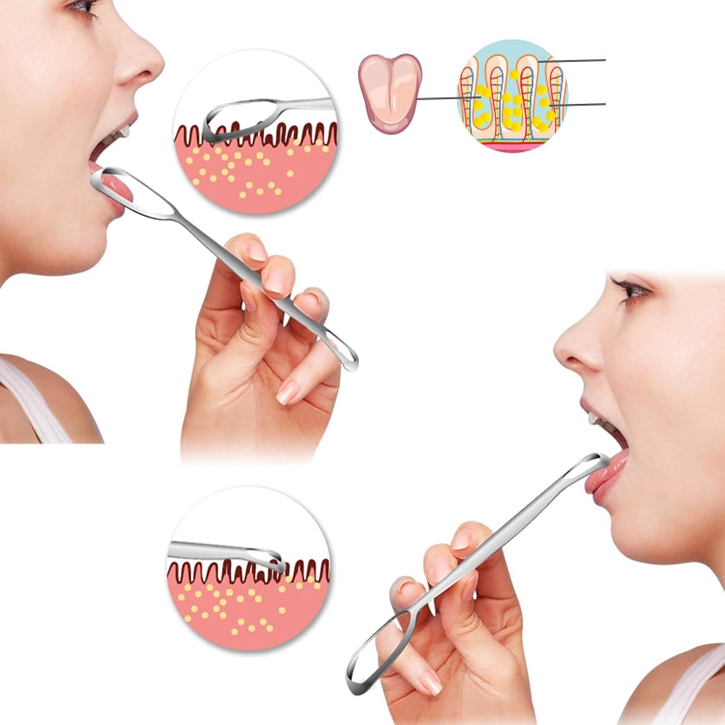 Tongue Scraper, Stainless Steel Oral Care Tool, Fan-Shaped Design, Improve Oral Hygiene, Daily Cleaning, for Family Adults, Breath, Removal
