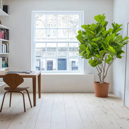 Artificial Fiddle Leaf Fig Tree 8ft Tall,Faux fig Tree Indoor Artificial Tree for Modern Home Office Living Room Floor Decor Indoor