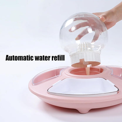 Cat Food Bowl | Kitten Watering Bowl,Kitten Feeder Multifunctional for Home, Anti-Slip Pet Feeding Watering Dish