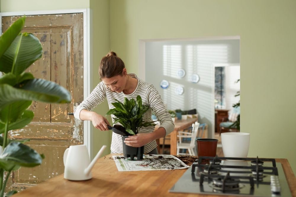 Elho Self-watering system 21 - Interior accessories and accessories - Ø 20.7 x H 19.5 - Living Schwarz