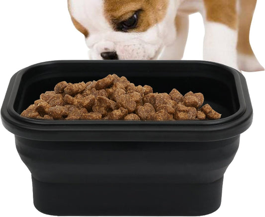 Ciotole per cani da viaggio, igienico e compatto, ciotola per mangiare cani su strada, per mangiare, per passeggiate, viaggi, avventure all'aperto