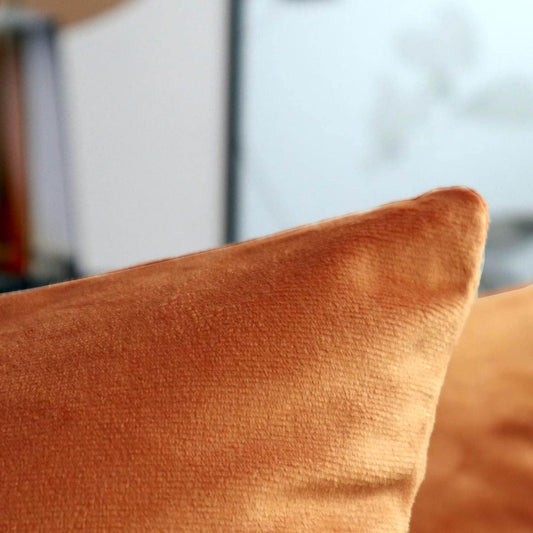 Cyuripu Set of 2 Velvet Burnt Orange Throw Pillow Covers 18 x 18 Inch Decorative Square Pillowcases Soft Cozy Cushion Cases for Couch Sofa Bedroom Living Room Home Decor 45 x 45 Cm