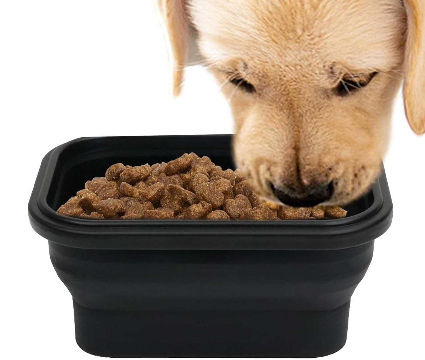 Portable Dog Bowl - Hygienic Compact | Dog Eating Bowl for Traveling on the Road, Watering Bowl for Outdoor, Travel, Walking, Hiking