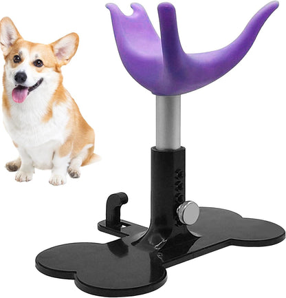 Compatto Dog Grooming Stand, Puppy Bathing Support, Height Adjustable Ladder Bench, Non-Slip, Sturdy Steel Frame, Black, Bathing Showering Trimming for Dogs and Pets