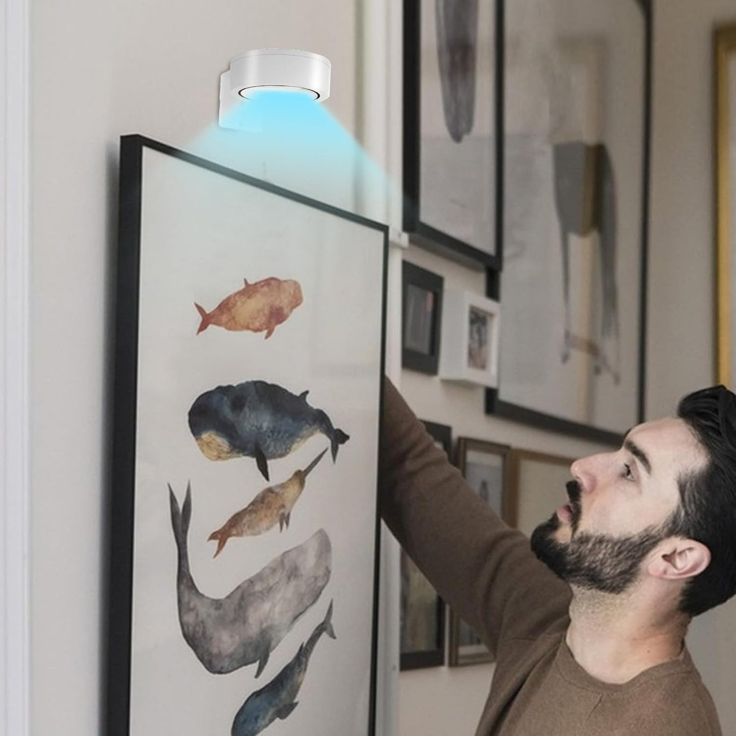 Generico Picture Lights, Smart Control Wall Art Light, 3.39x1.18 Inches, Cordless Frame Spotlight, Adjustable Timer Function for Painting, Photo, Poster Display, Gold, Black and White