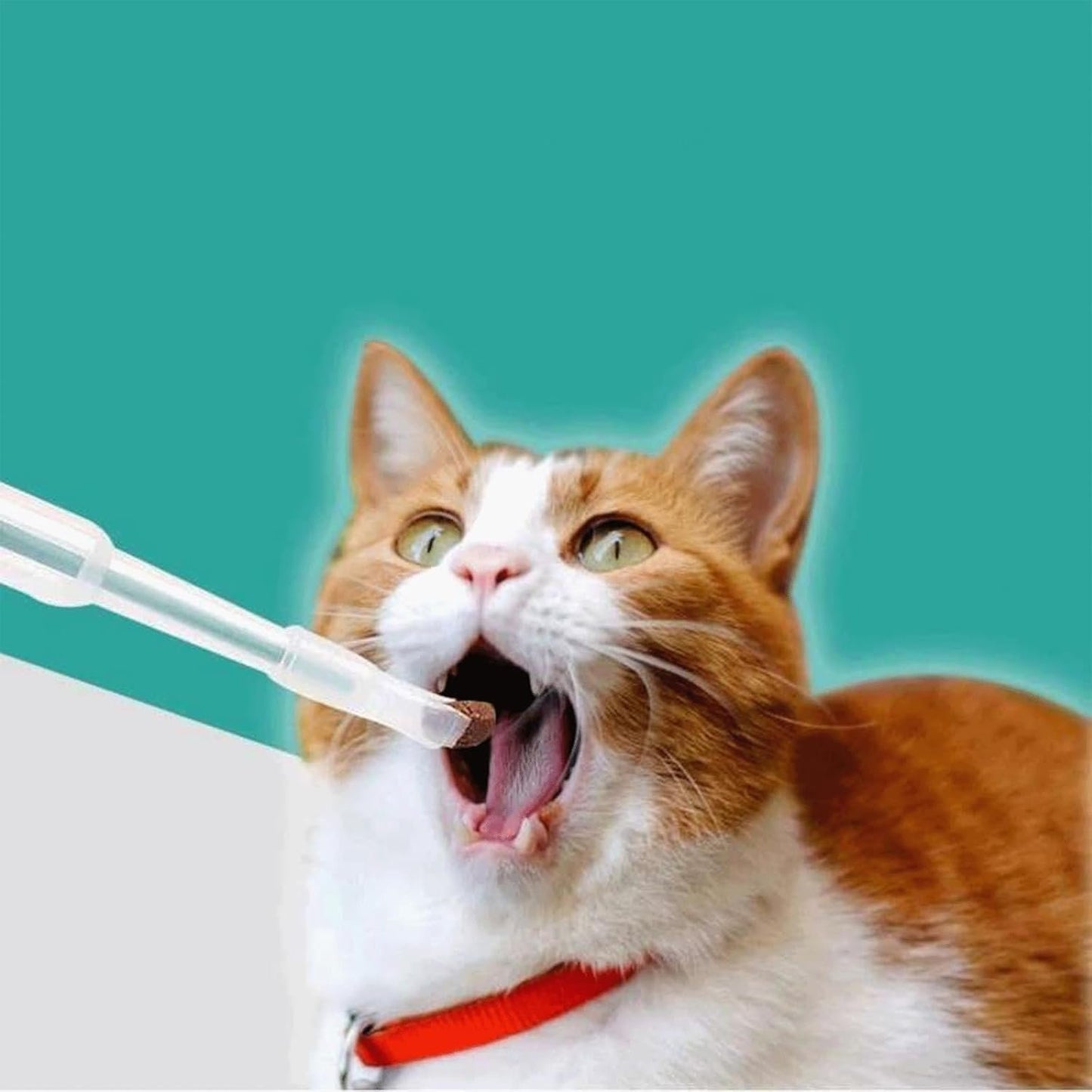 Green Pill Guns for Dog and Cat, Pet Piller Guns Dog Pill Shooters Cat Tablet Soft Tip Syringes Pet Medicals Feeding Dispenser Tool for Small Animals,Cat Pill Shooter,Feeding and Watering Supplies