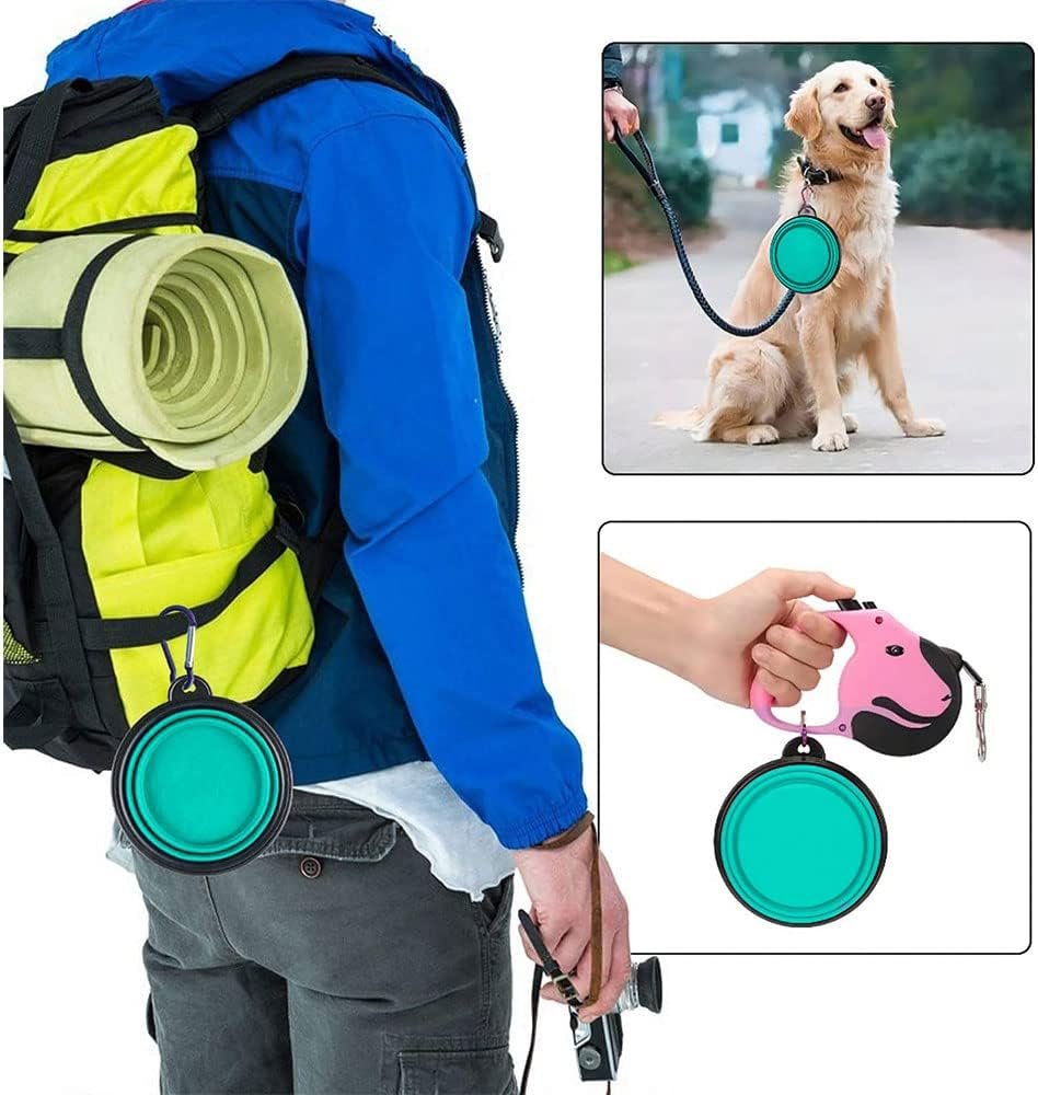 Folklyzo Collapsible Dog Bowl, Portable Pet Feeding Watering Dish, Light Green