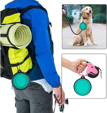 Folklyzo Collapsible Dog Bowl, Portable Pet Feeding Watering Dish, Light Green