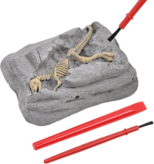 Dinosaur Dig Kit, Scavo Toy Set, 3.15x2.56in Stem Learning Activity, Educational Archeology Tools, Sensory Exploration Play for Outdoor, Adventure Craft, Kids Science Fun