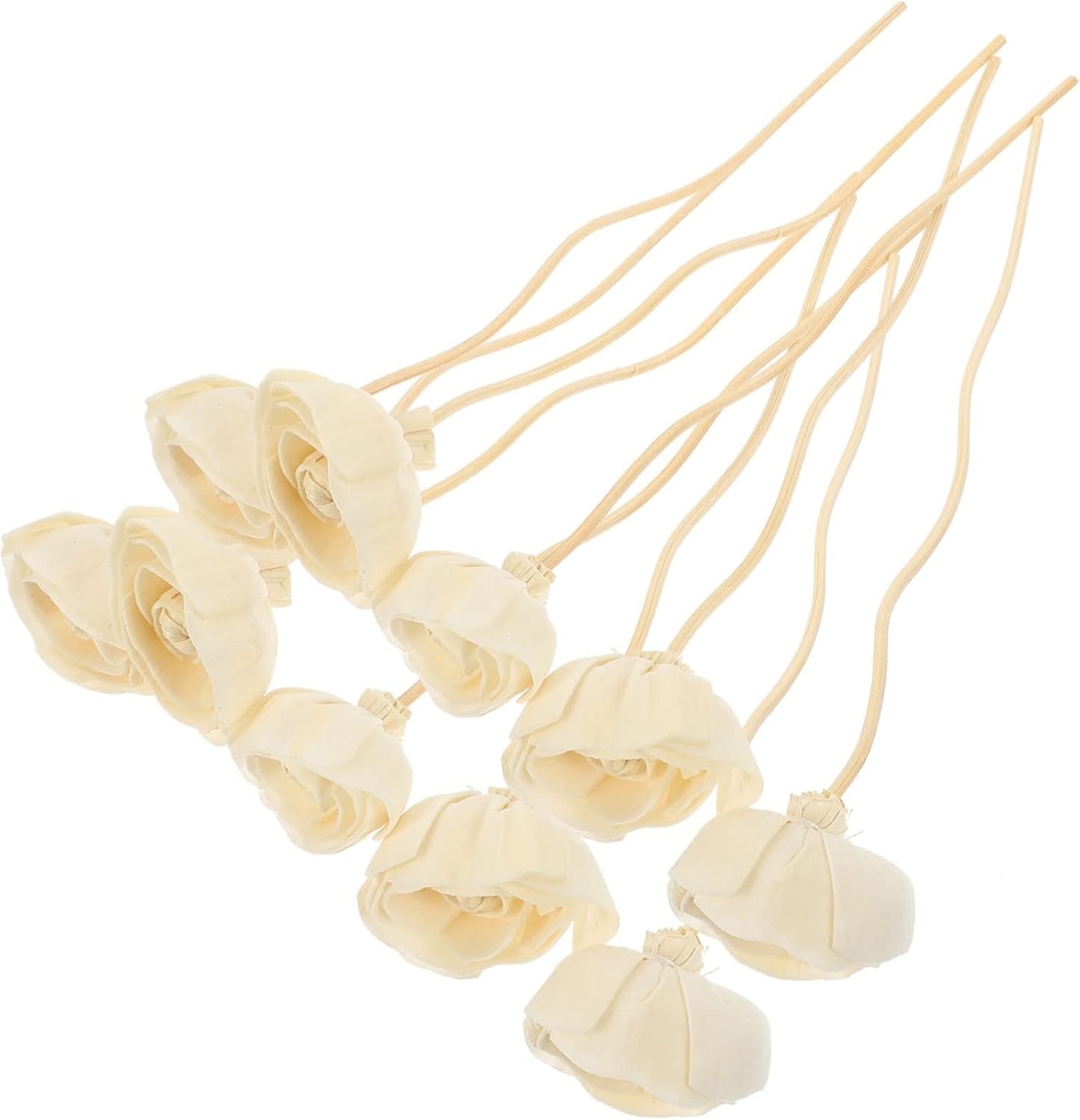 GLEAVI 10Pcs Flower Diffuser Sticks Dried Aromatherapy Sticks for Home Fragrance Sticks for Essential Oil Diffuser Decor Kitchen Bedroom Living