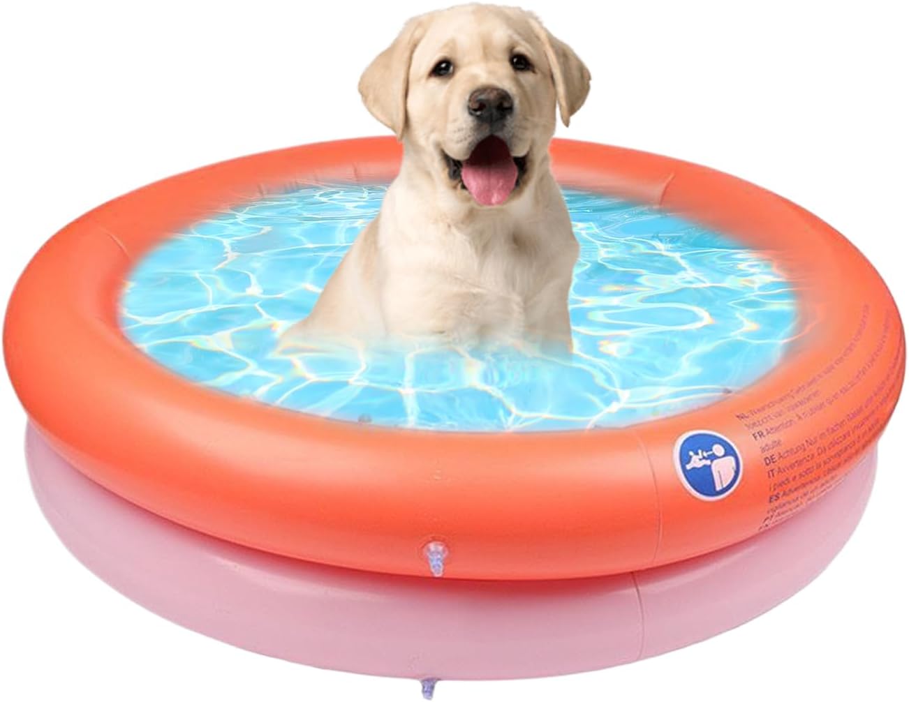 Dog Pool, Folding Tub, 31.5x31.5x9.84 Inch Foldable Bathtub & Inflatable Rim, Portable Pet Basin Design for Outdoor Backyard Use, Ideal Washing Spot to Puppies Small Medium Indoors