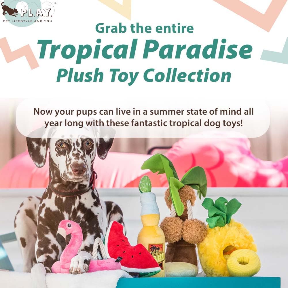P.L.A.Y. Pet Life and You Dog Toy_Plush Toy - Pineapple_S