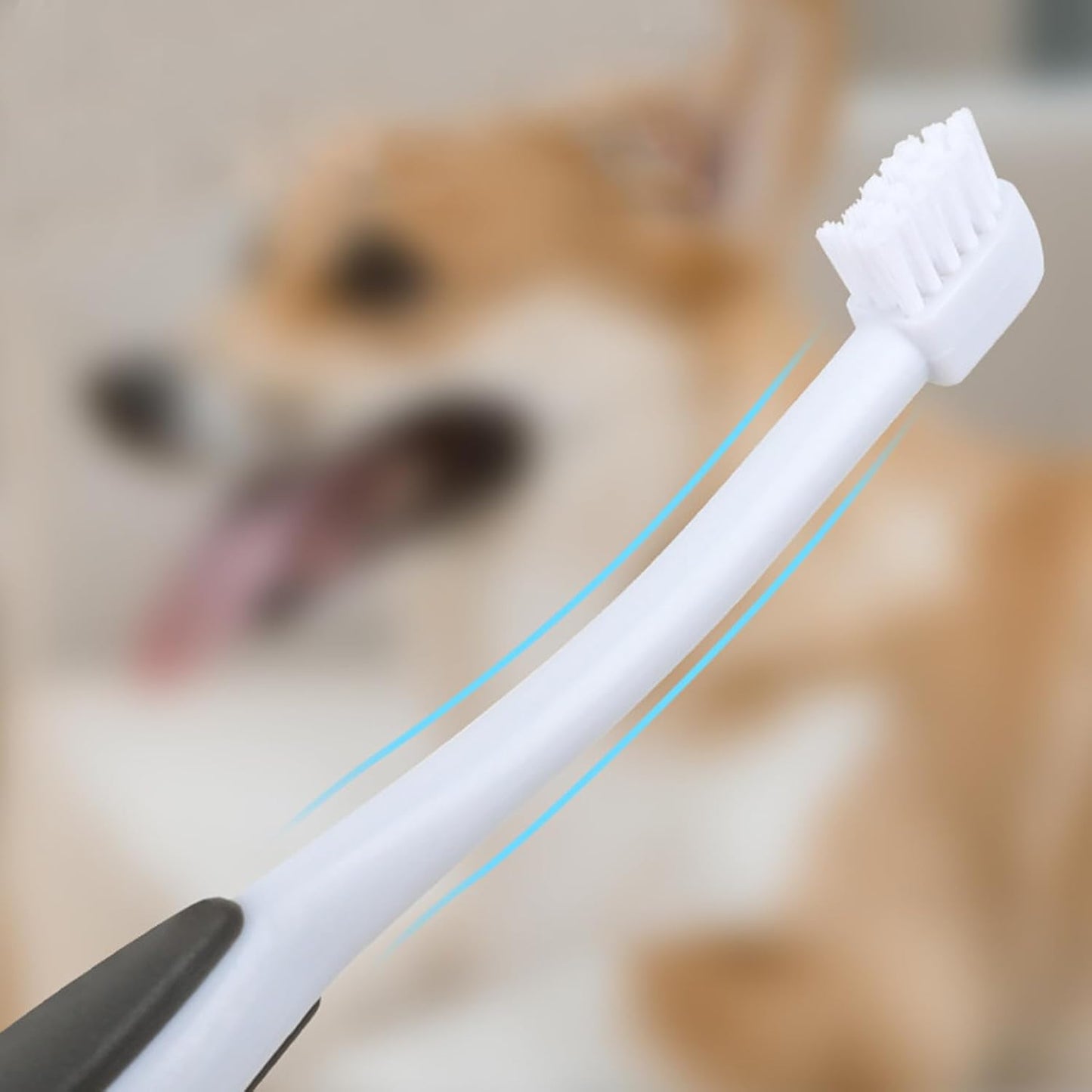 Dog Toothbrush, Kitten with Soft Bristles, Non-Slip Pets Oral Cares Brush, Teeth Cleaning Tool, Gentle Pet Grooming, Home Care and Hygiene for Dogs and Cats, 16.8x1.9x0.8cm