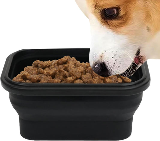 Ciotole pieghevoli per cani, igienico compatto, ciotola per mangiare cani su strada, ciotola per l'irrigazione per esterni, viaggi, passeggiate, escursioni