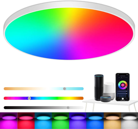 Eregou Dimmable LED Ceiling Light, 24W 2400LM Smart RGB LED Ceiling Light Alexa, Living Room Lamp IP44 Bedroom Lamp, Compatible with Alexa APP Google Assistant, 2700K-6500K