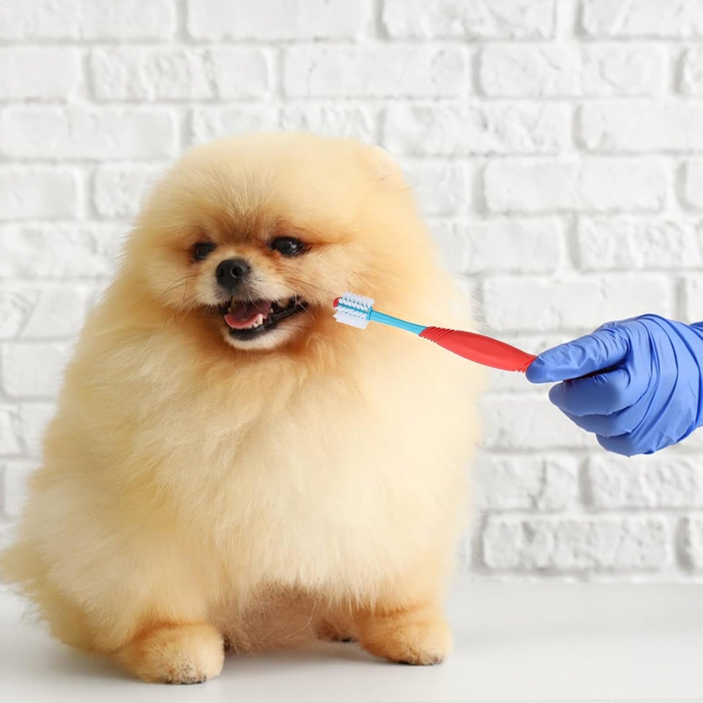 Dog Toothbrushes, Double-Headed Puppy Tooth Brush, Pet Care Supply, Multi-Pet Orals Hygiene Tool, Soft Bristles Gentle Cleaning, Portable Design, for Grooming Bathing Apartment Use., 2.2x20.7cm ABS