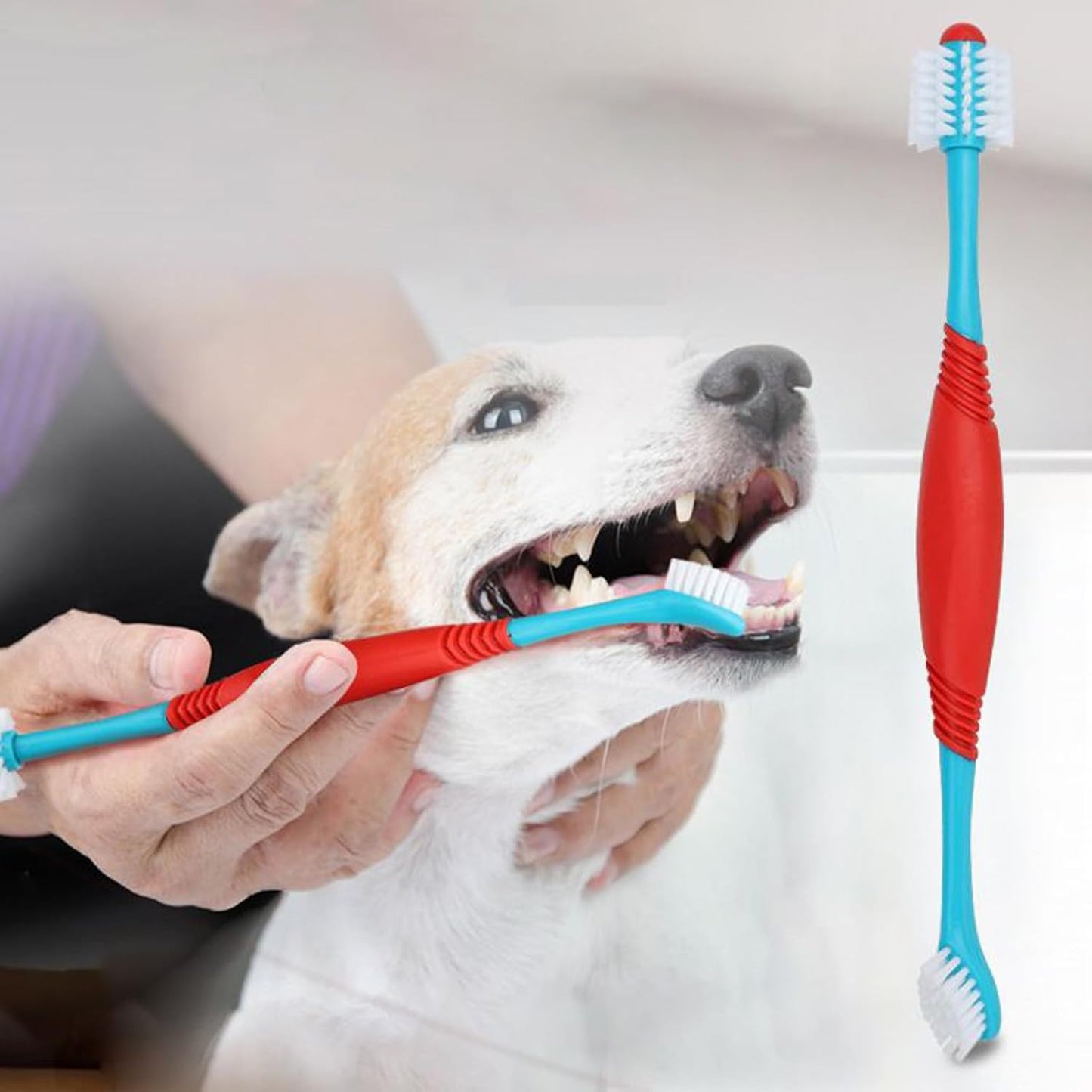 Sprofondimi di denti per cani - Spazzo da dente cucciolo a doppia testa | PROPRIETÀ DI CARE DENTALE PET | Strumento di pulizia multi-pet per la salute orale | Ideale per la toelettatura da esterno per