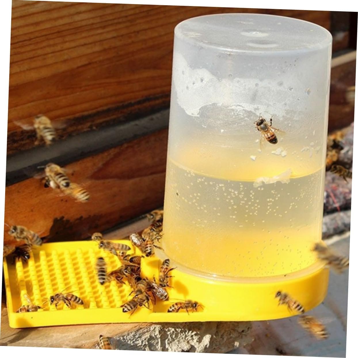 Totority 8pcs Bee Water Feeder Cups Durable Beekeeping Tool for Easy Feeding Convenient Watering Station for